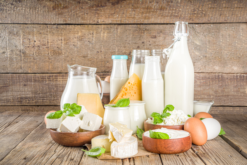 Verschiedene Arten von frischen Milchprodukten – Hüttenkäse, Käse, Milch, Sahne, Joghurt – in Schalen und Glasflaschen.