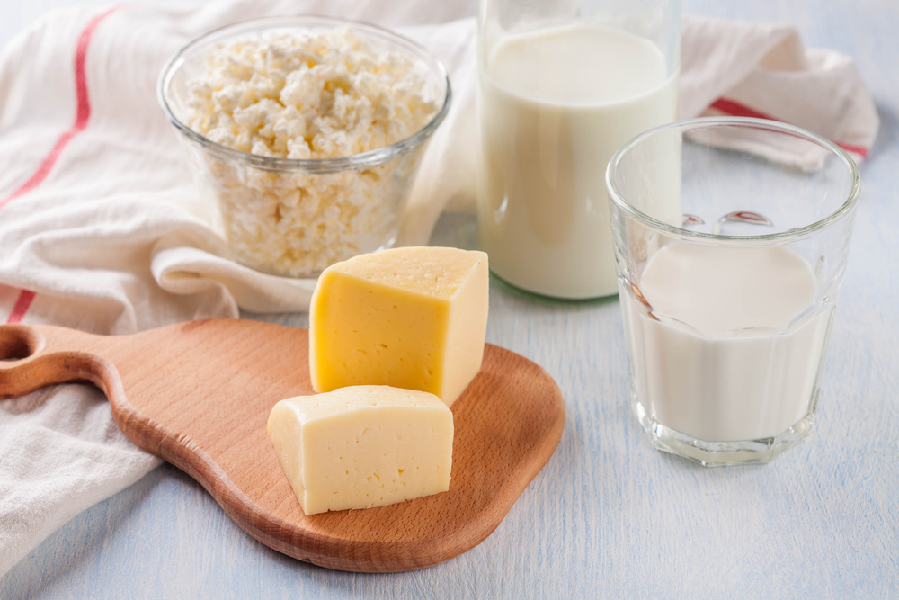 Različne vrste svežih mlečnih izdelkov - skuta, sir, mleko, smetana, jogurt.